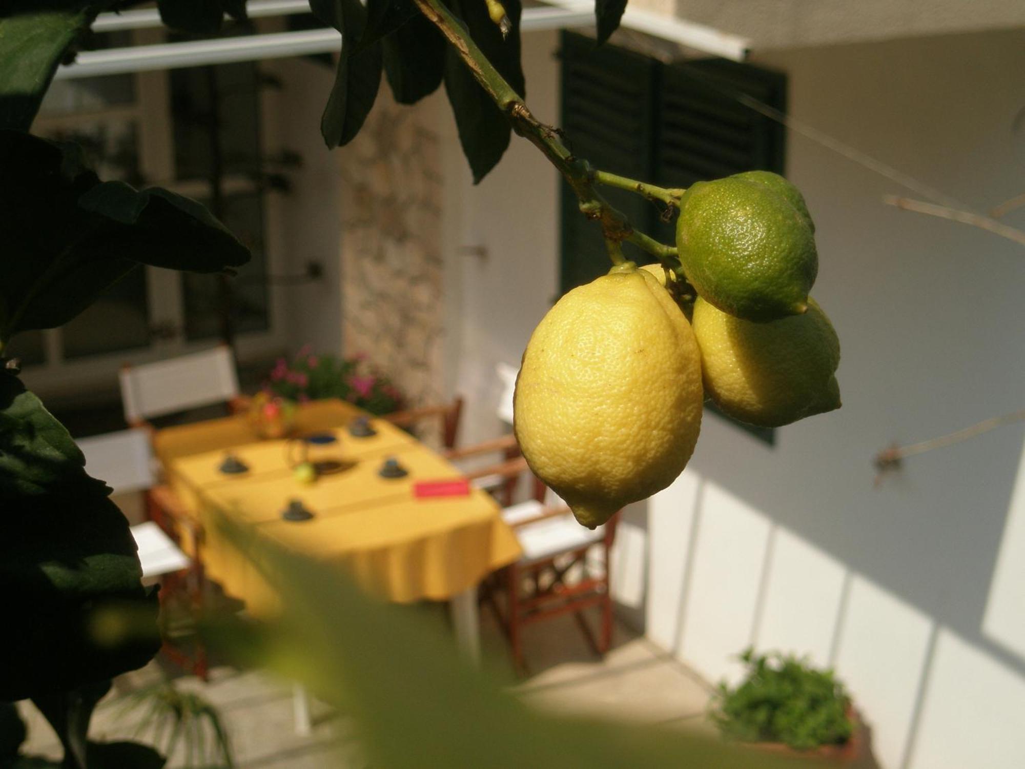 Apartments Green & Orange Hvar Town Exterior photo